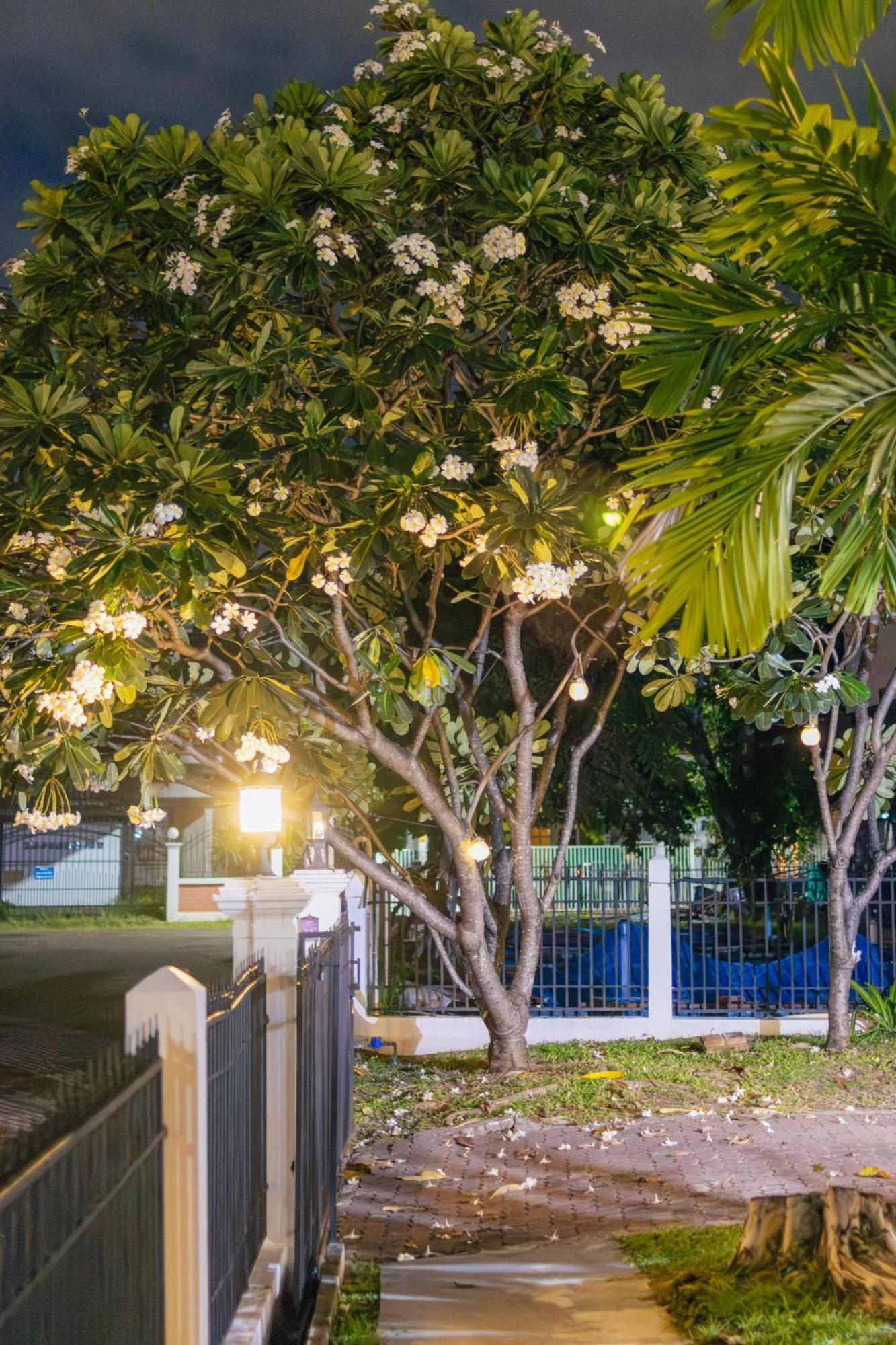 Ai House Nimman