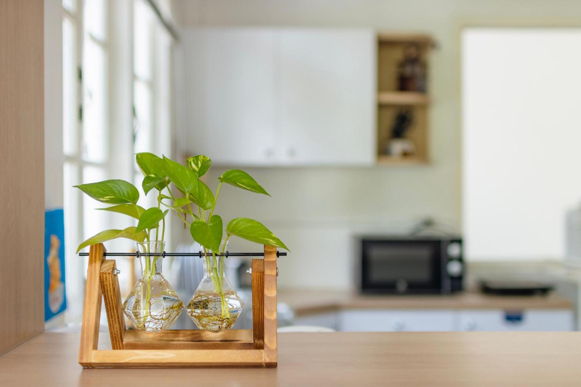 וילה Ai House Nimman צ'יאנג מאי