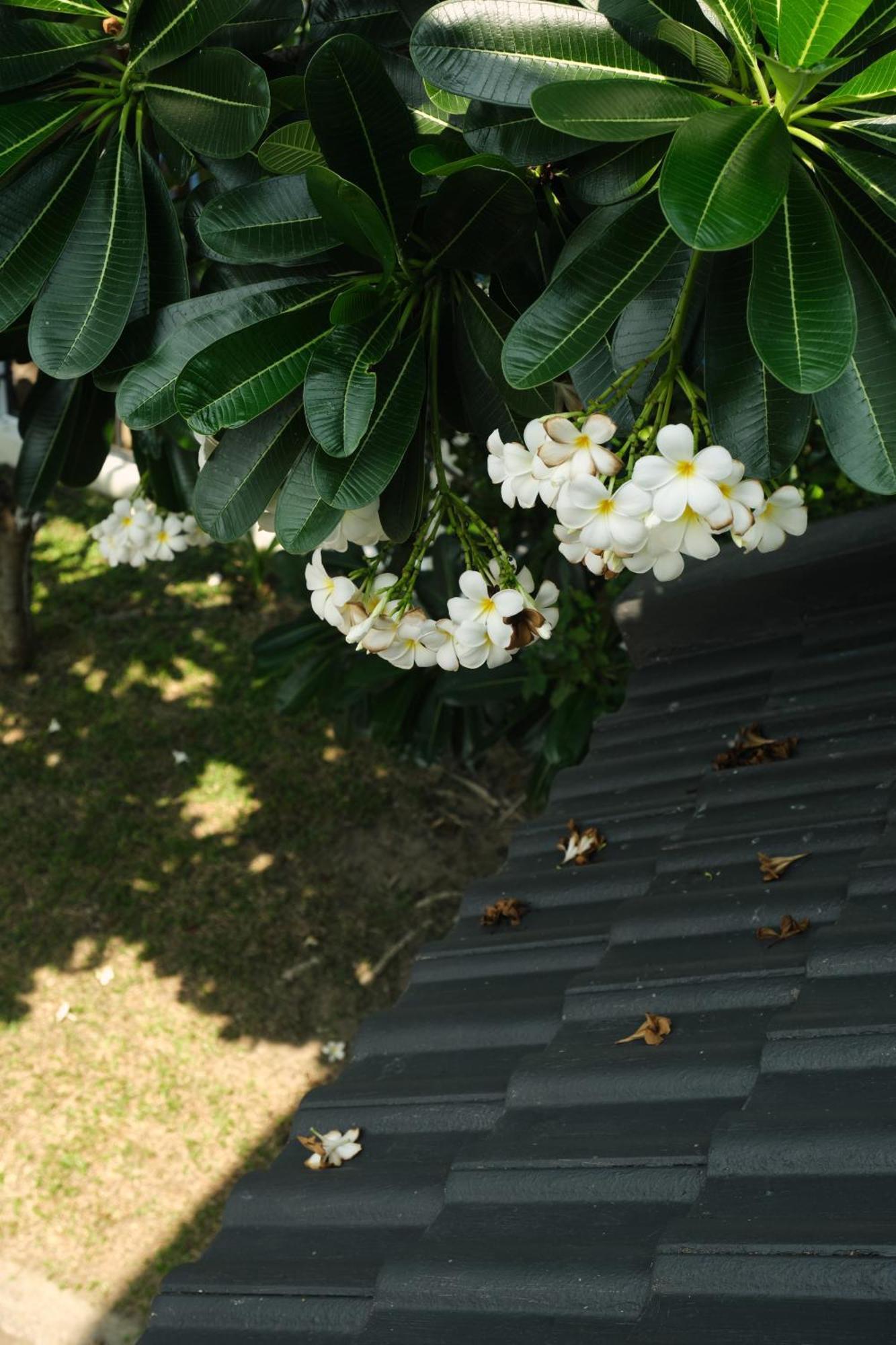 Ai House Nimman Villa *